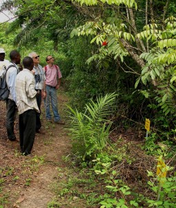 Visite d’un sentier 