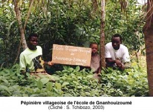 Pépinière villageoise de l'école de Gnanhouizoumé