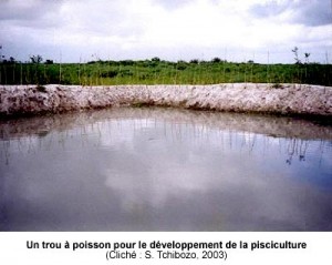 Un trou à poisson pour le développement de la pisciculture